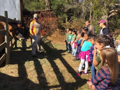 Students learn about livestock